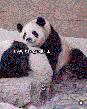 SgGlEX.gif