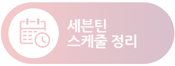 세븐틴스케줄정리