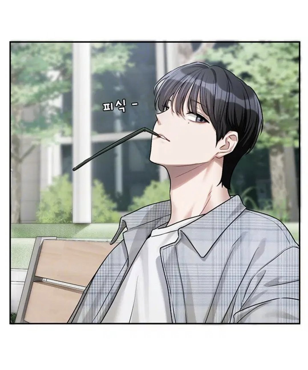 SlsNgv