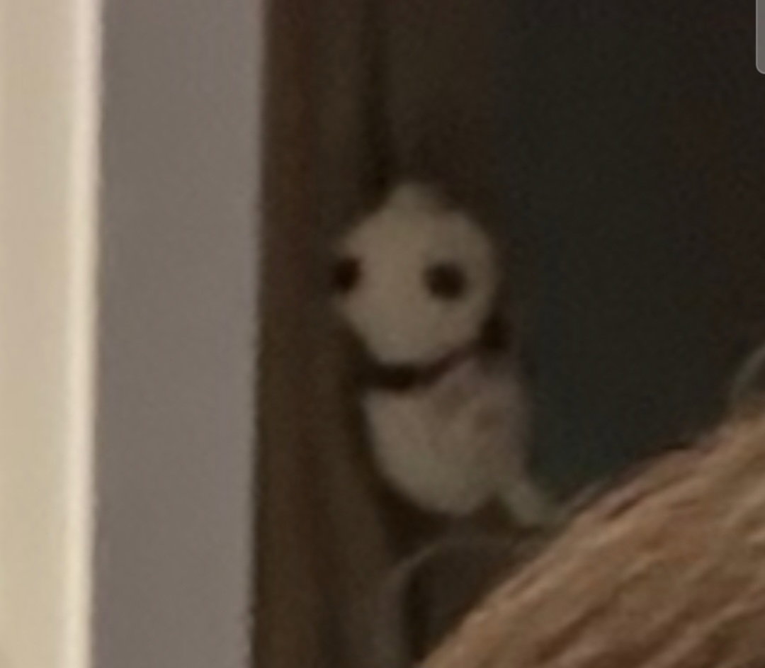 SlugLu.jpg