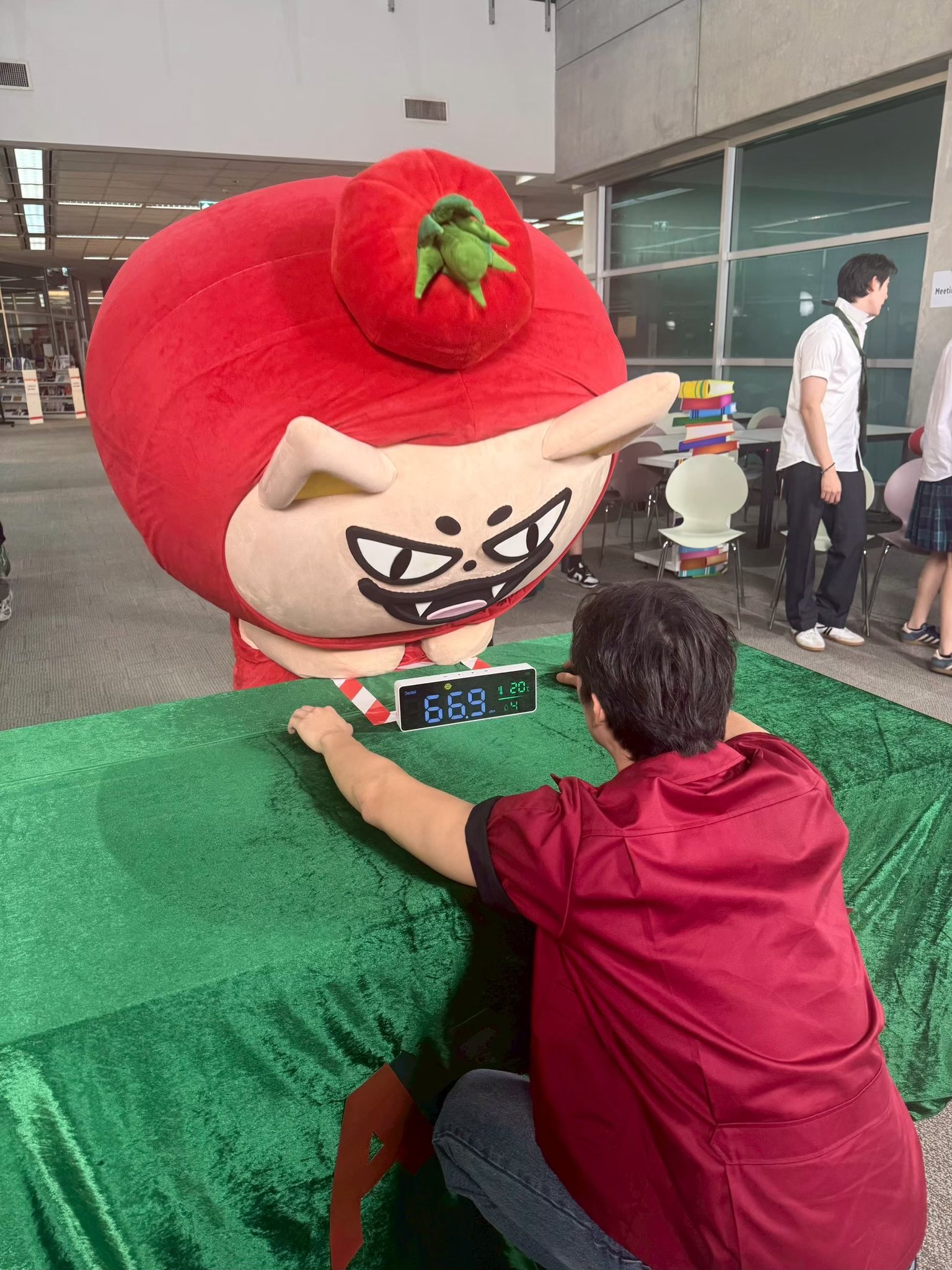 SmLBfB