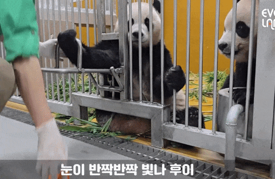 SmbBnv.gif