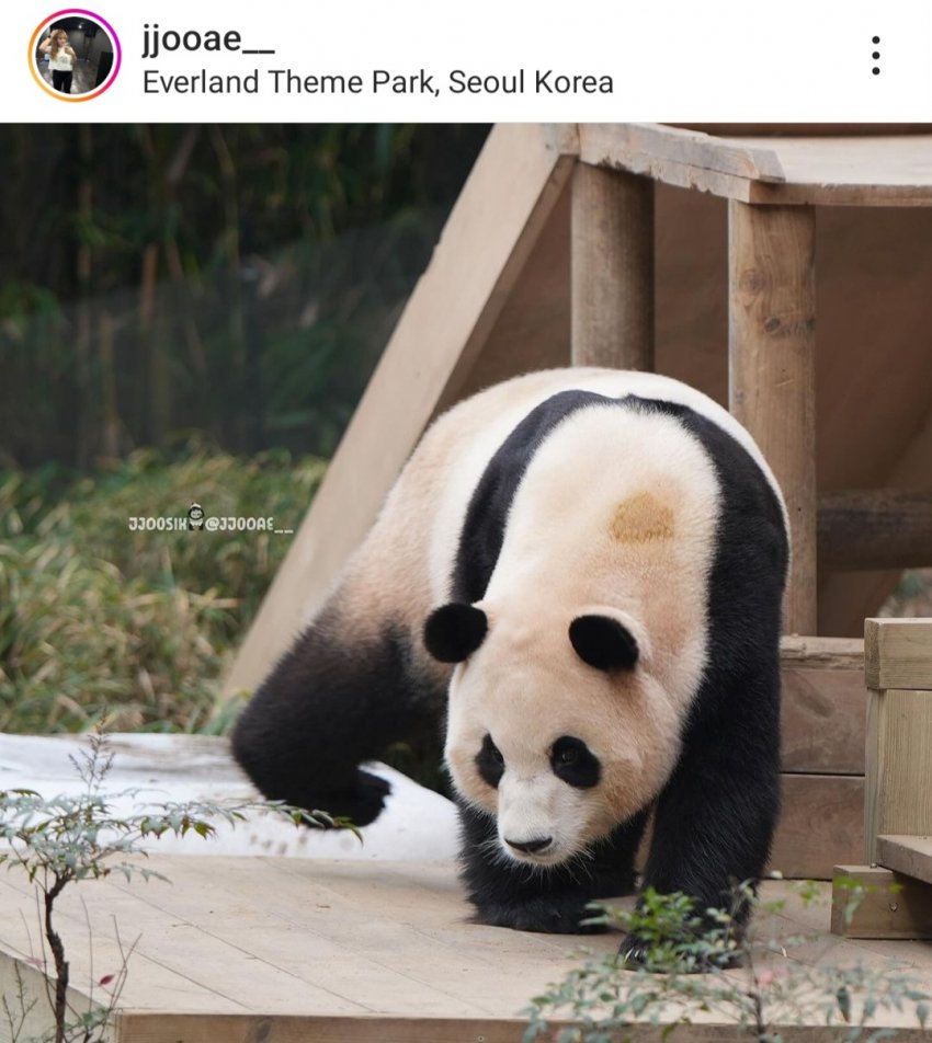 SnbBJv