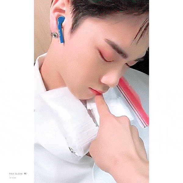 Sncboi.gif