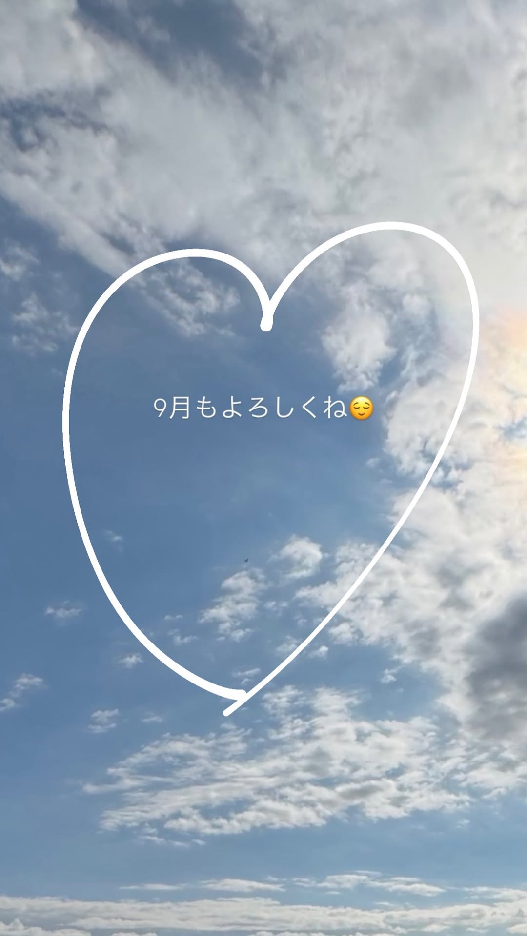SnvZwp