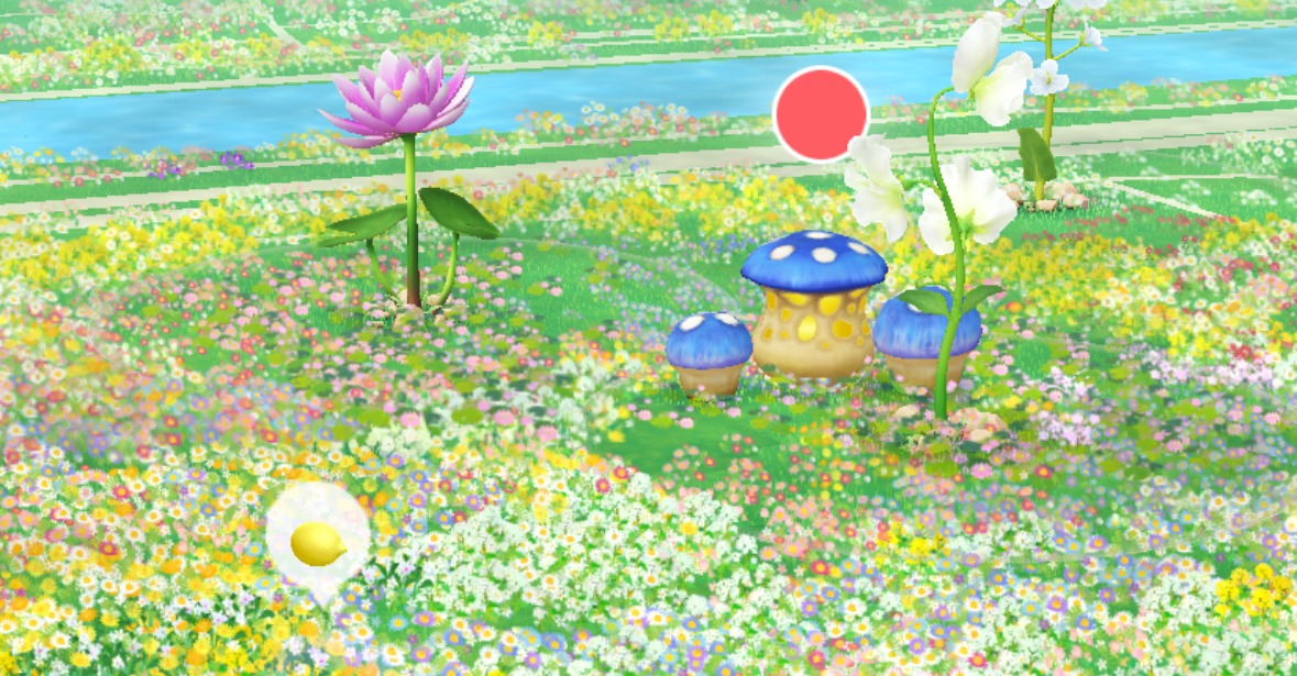 SpPvkg