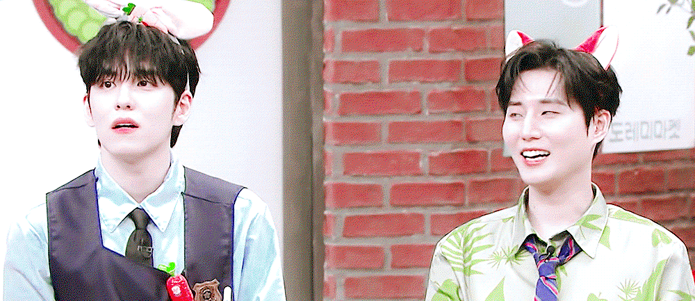 SpnHxy.gif