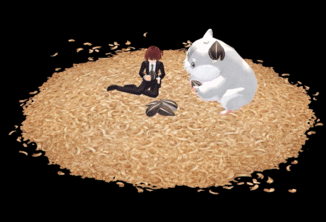 SqjLcO.gif