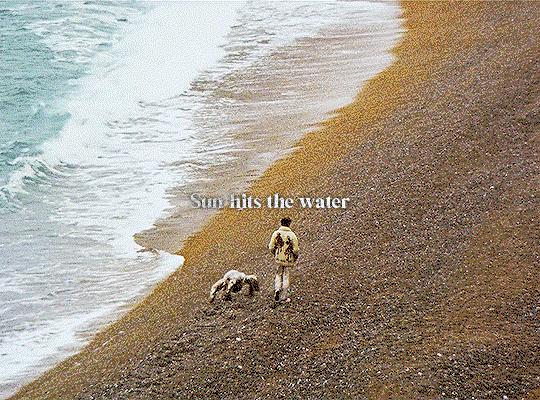 SrSFZj.gif
