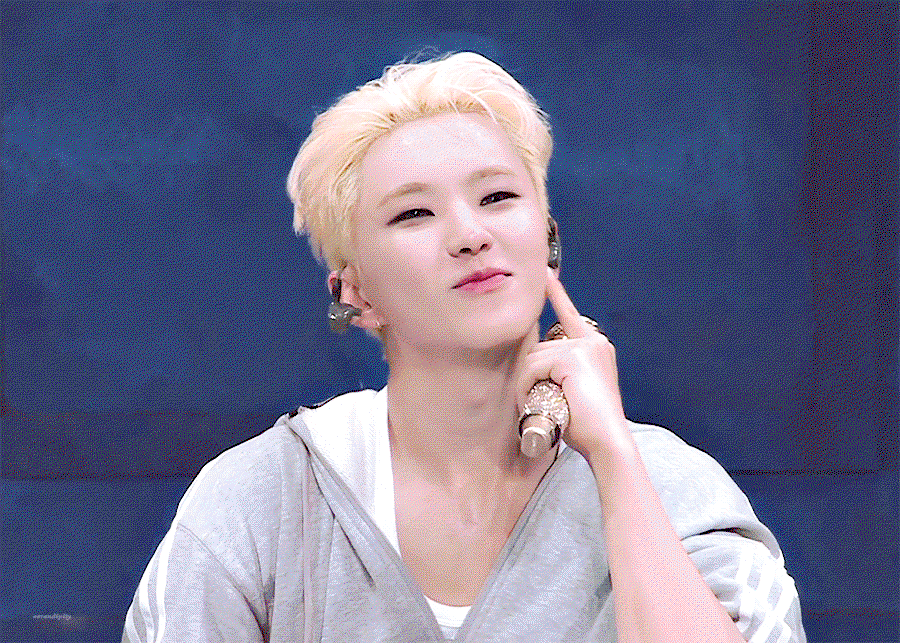 SsowNW.gif