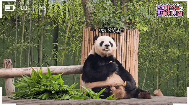 SvqHnV.gif