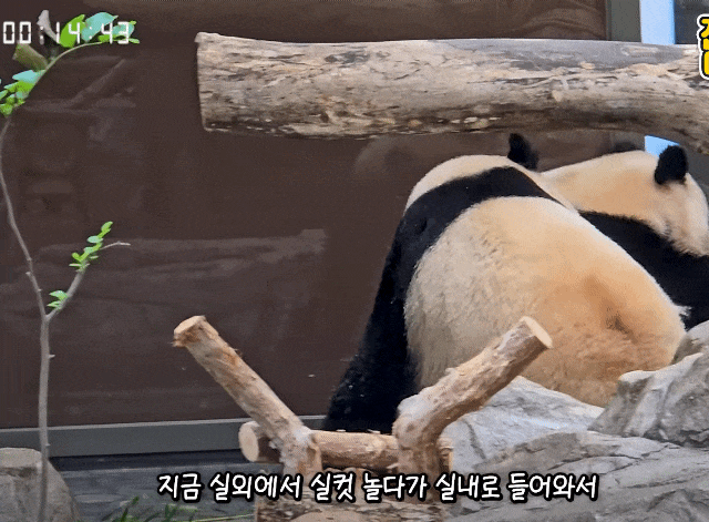 SwIpxu.gif