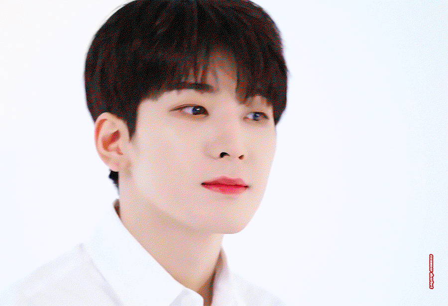 SwQOMk.gif