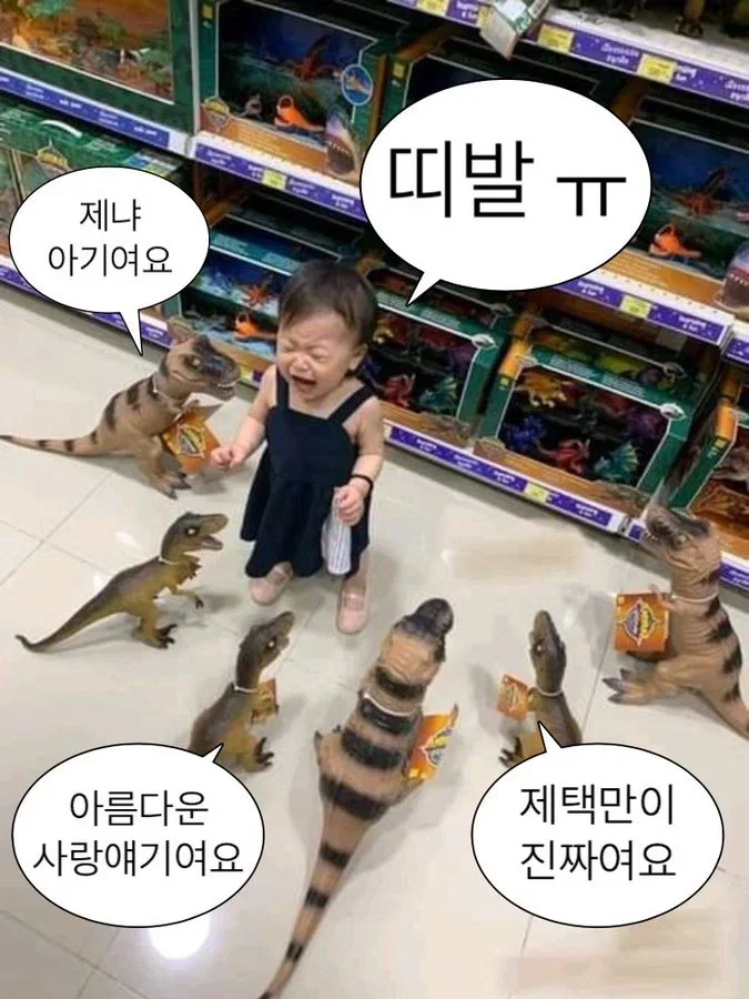 Swqucj