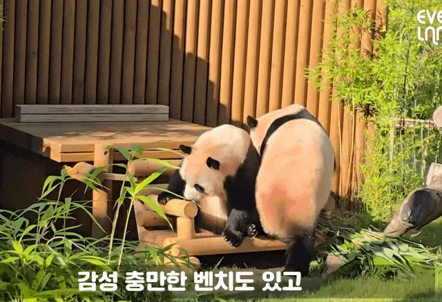 SxZIWw.gif