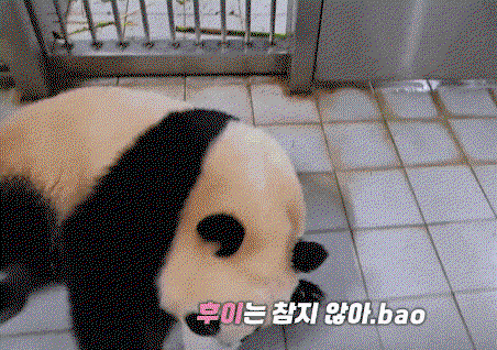 SxbJWB.gif