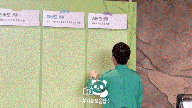 TAEakj.gif