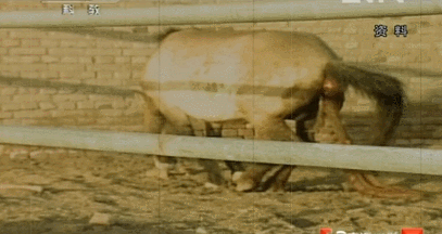 TAKXuf.gif