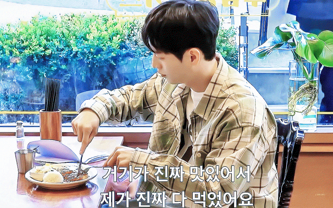 TAOHLN.gif