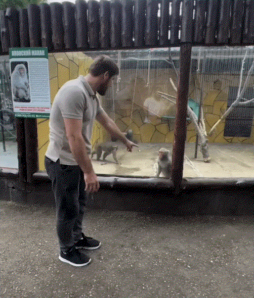 TCCFix.gif