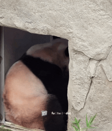 TEBQcT.gif