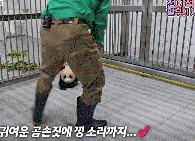 TENQDi.gif