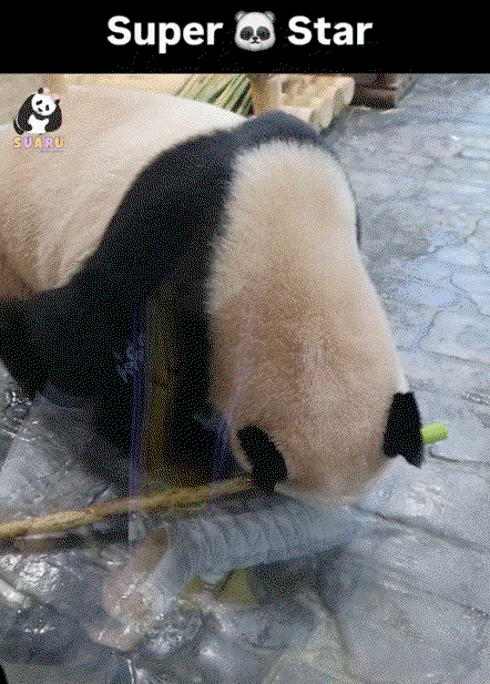 TGEGIg.gif