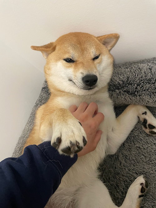 TGOaPA