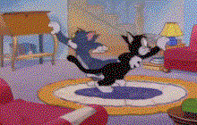 TJkSNC.gif