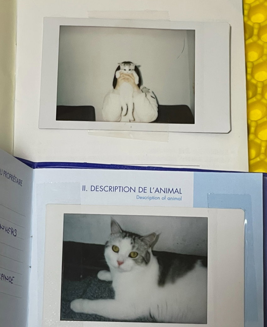 TLAGWm