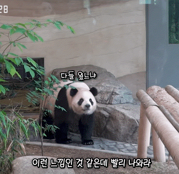 TMJFJk.gif