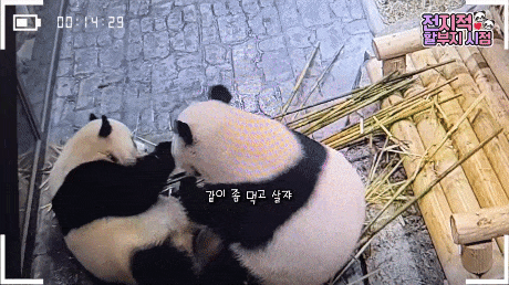 TNUWBy.gif