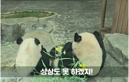 TNYUZR.gif