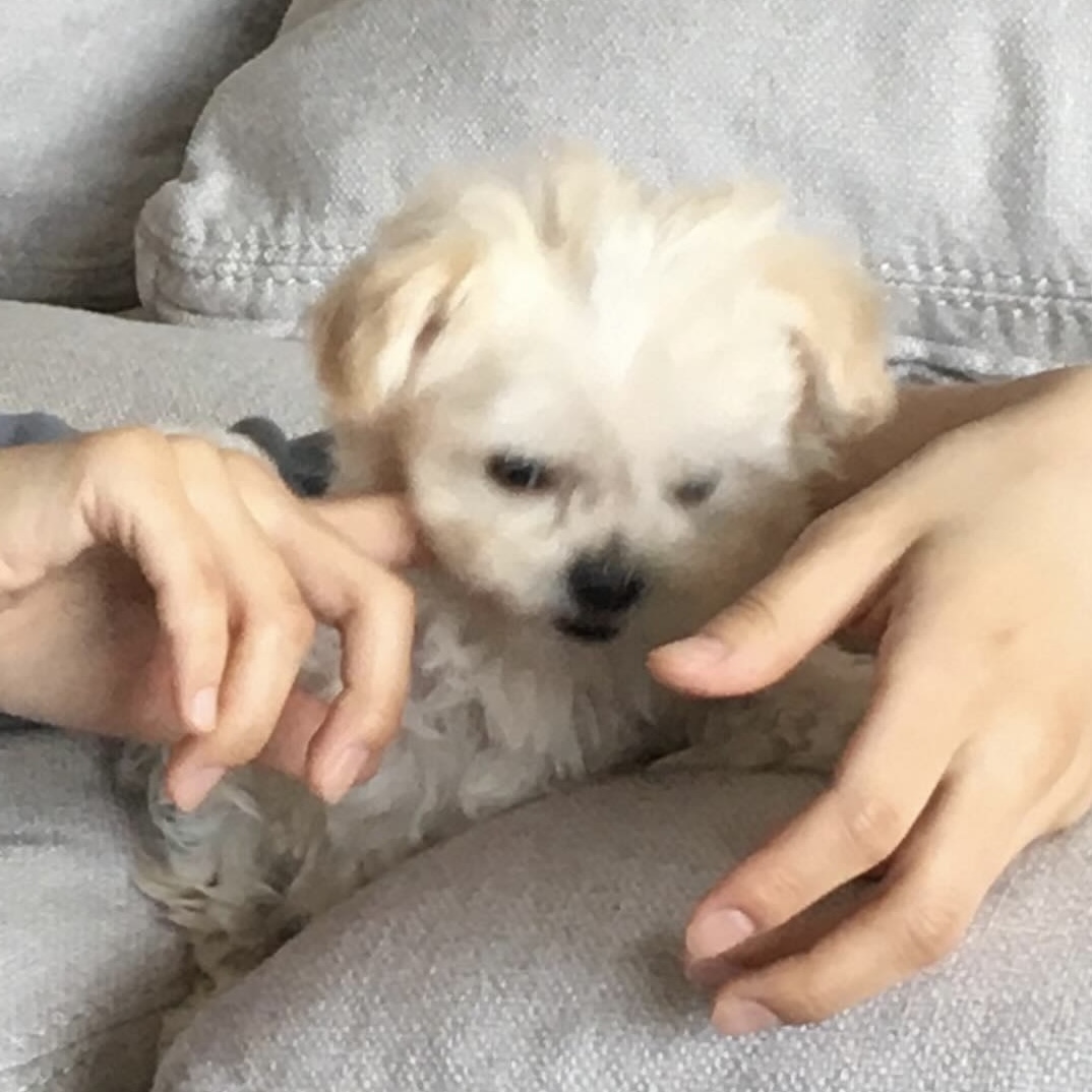 TOssKo