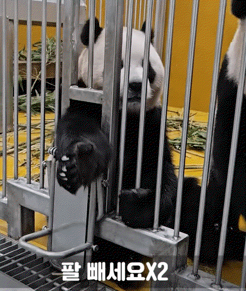 TQakzK.gif