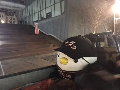 TRUIBV