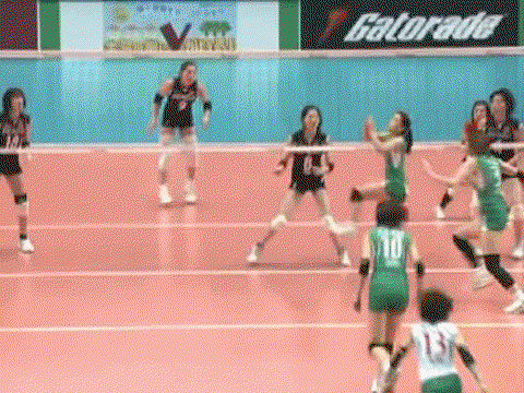 TSPnBW.gif