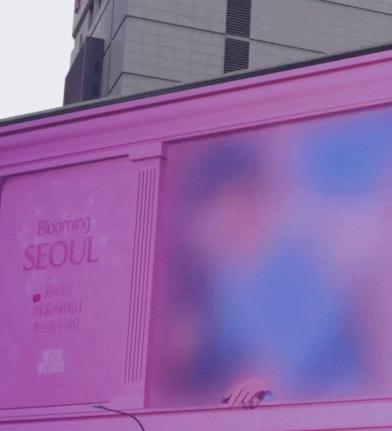 TSUaPD.gif