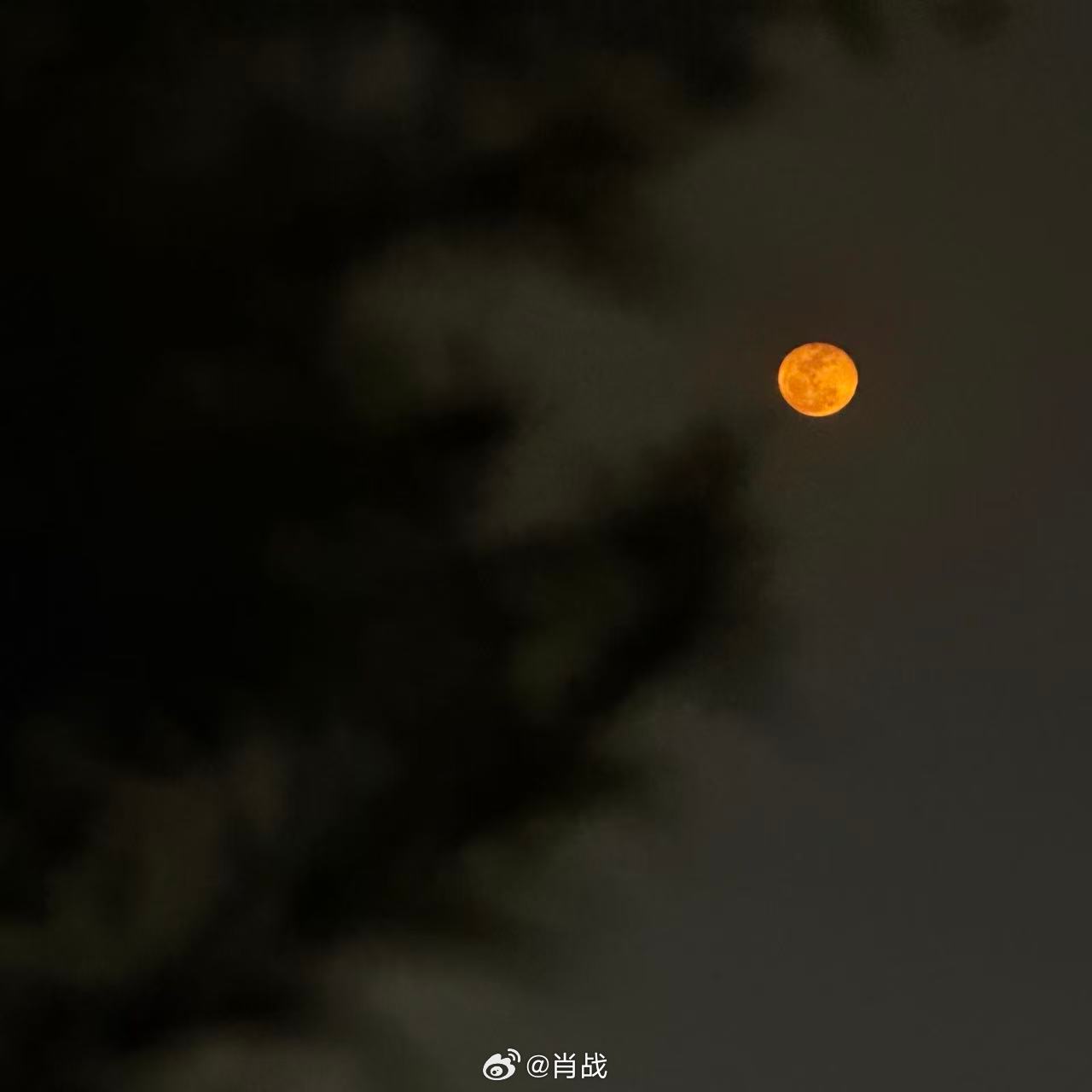 TSuDoa
