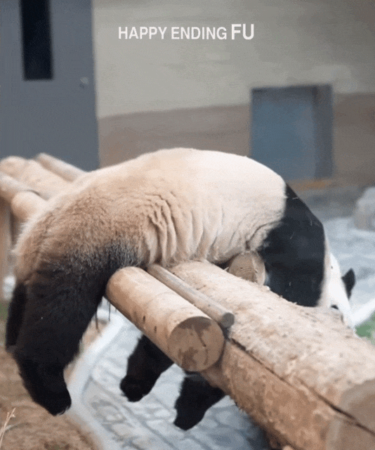 TUraLC.gif