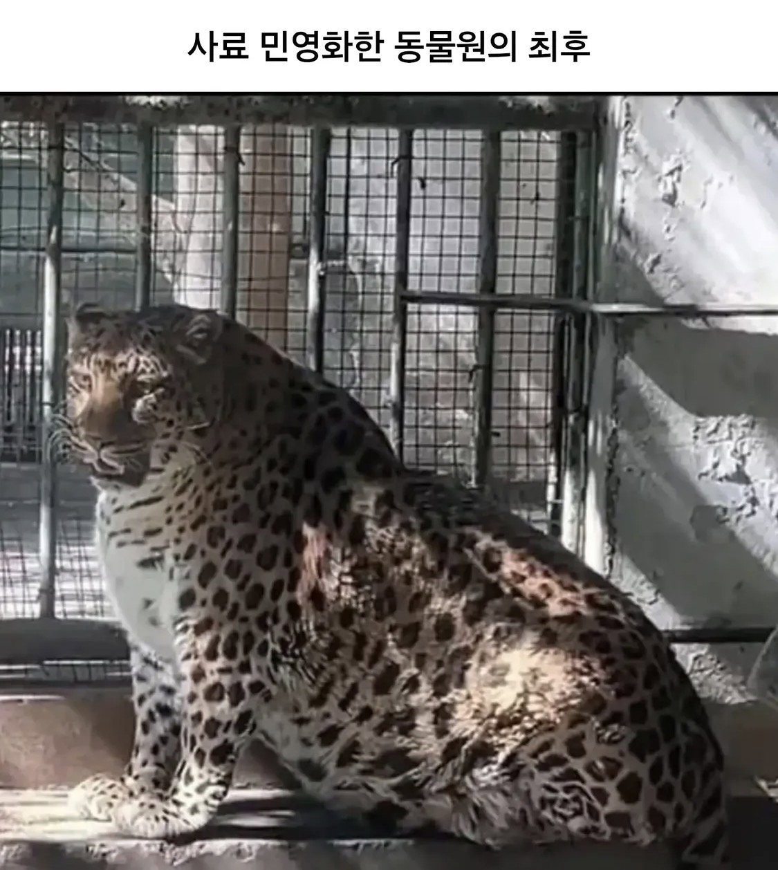 TYtjxq