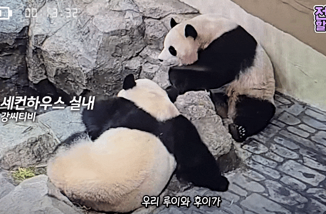 TZNQIF.gif
