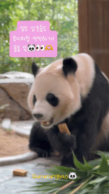 TaObzi.gif