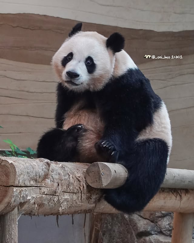 TbFPtV
