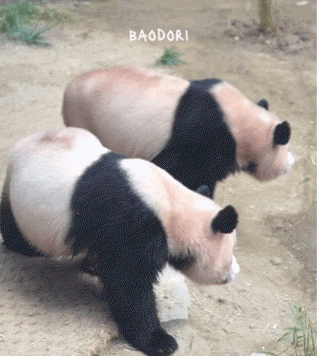 TcIHle.gif