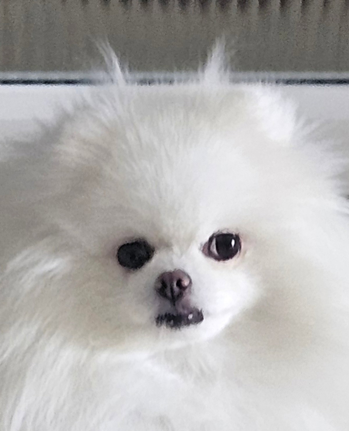 TdIYEl