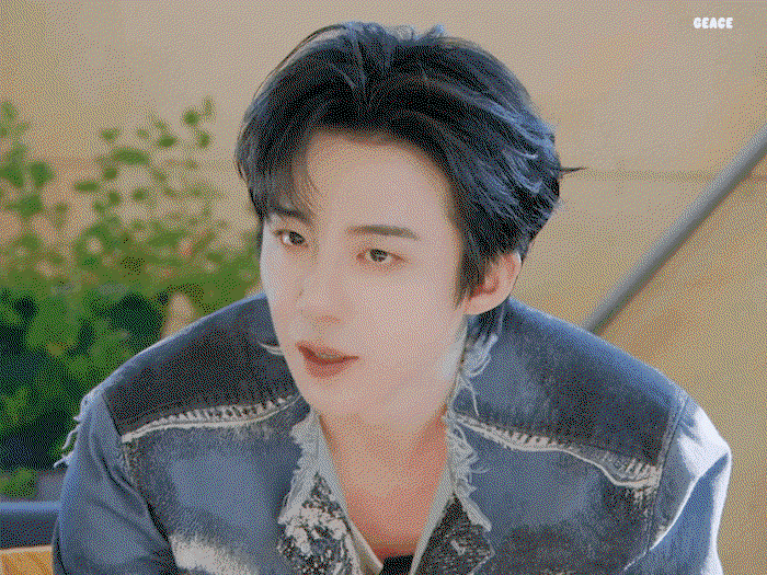 TeVeSi.gif