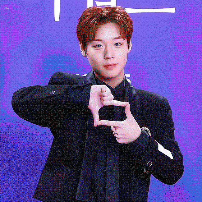 TgXZXY.gif