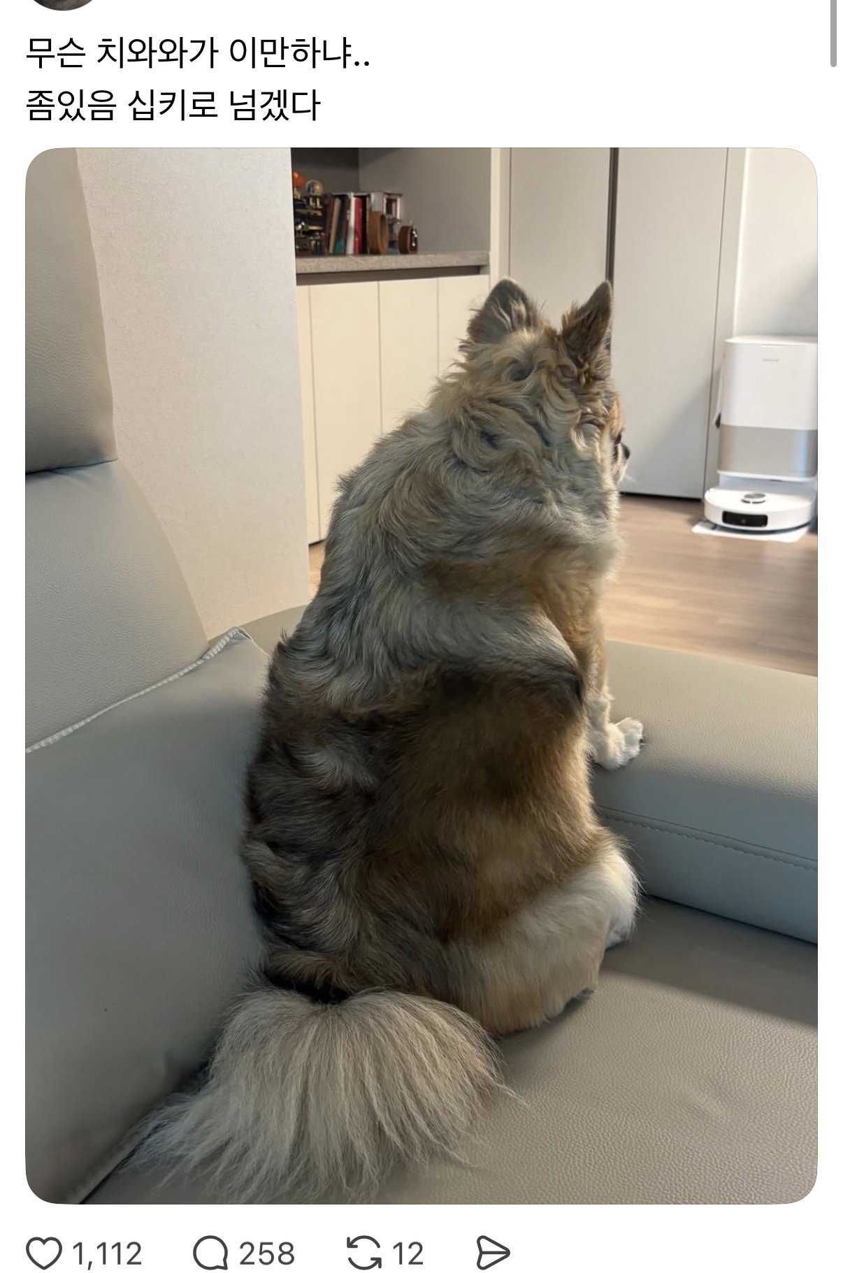 TjaJDw