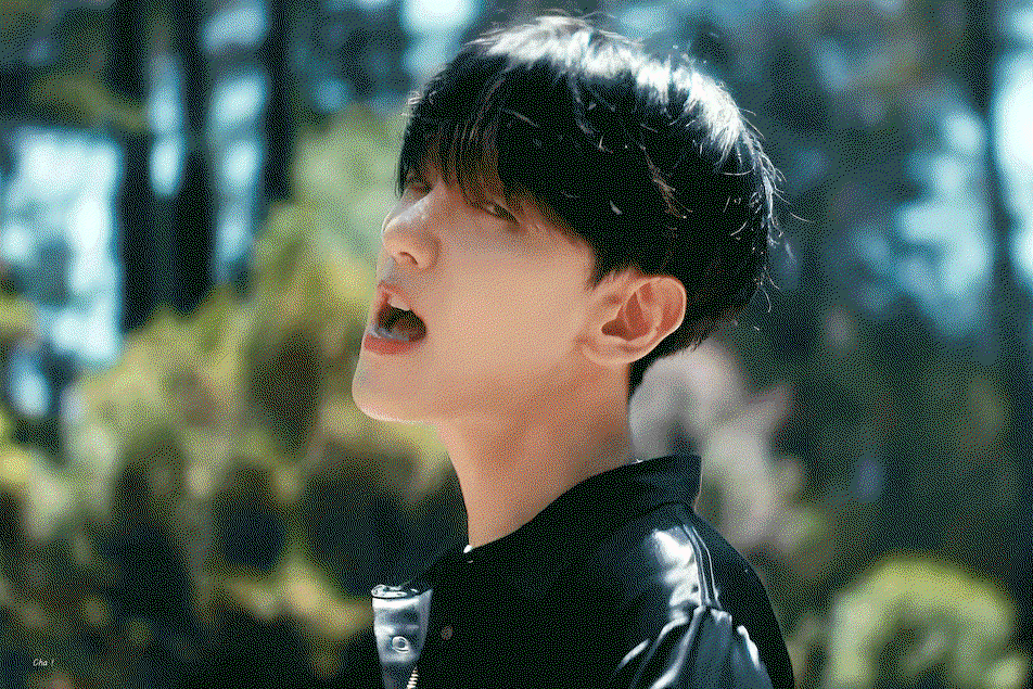 TkLpjb.gif